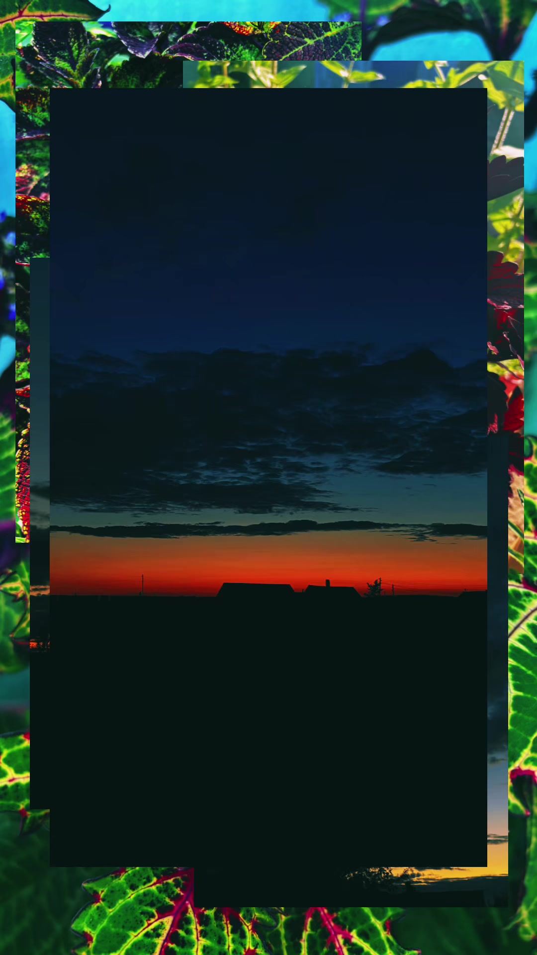 @wifsx 🇭🇺