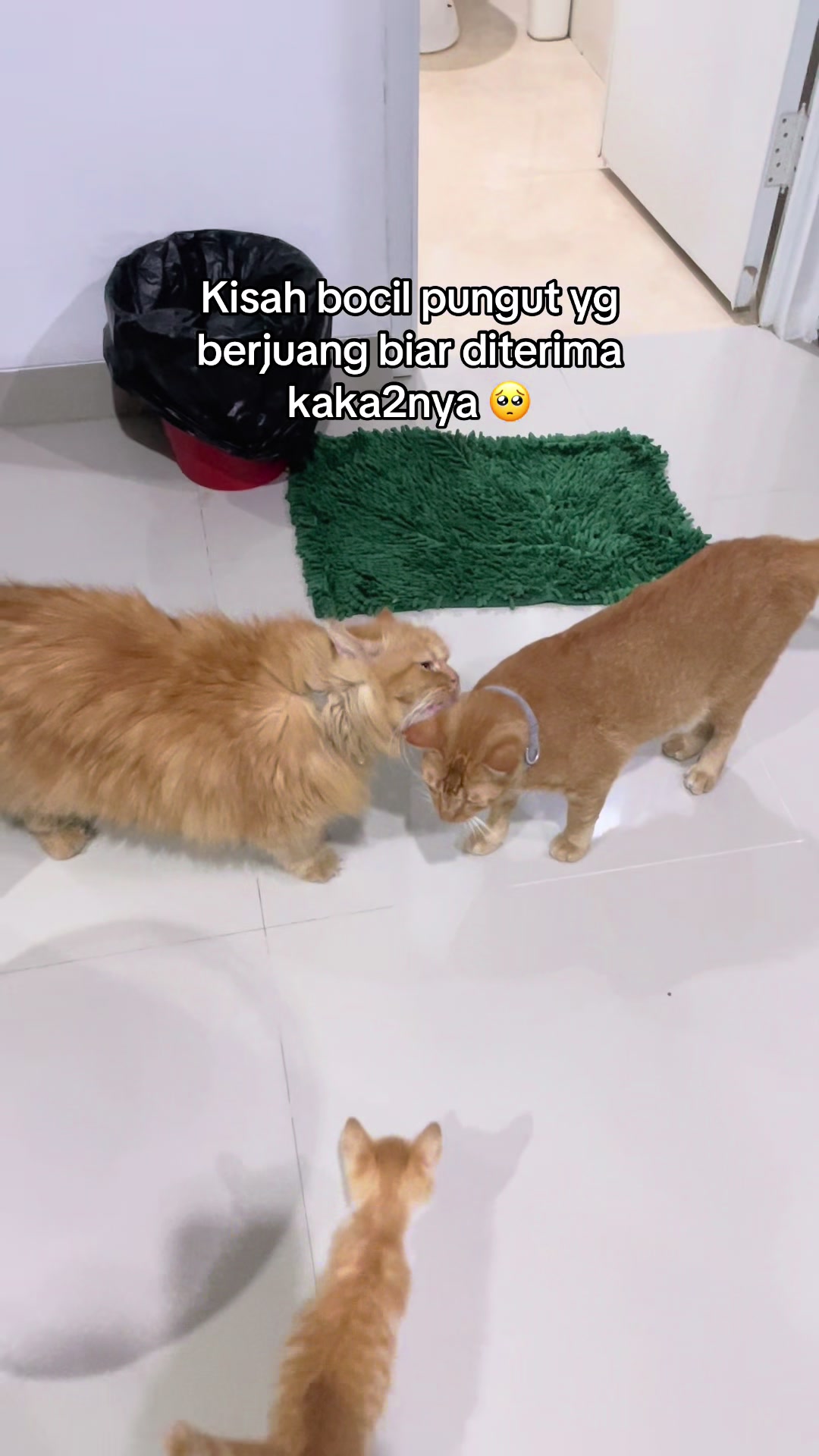 @Mommy, Eyon & Oyenz