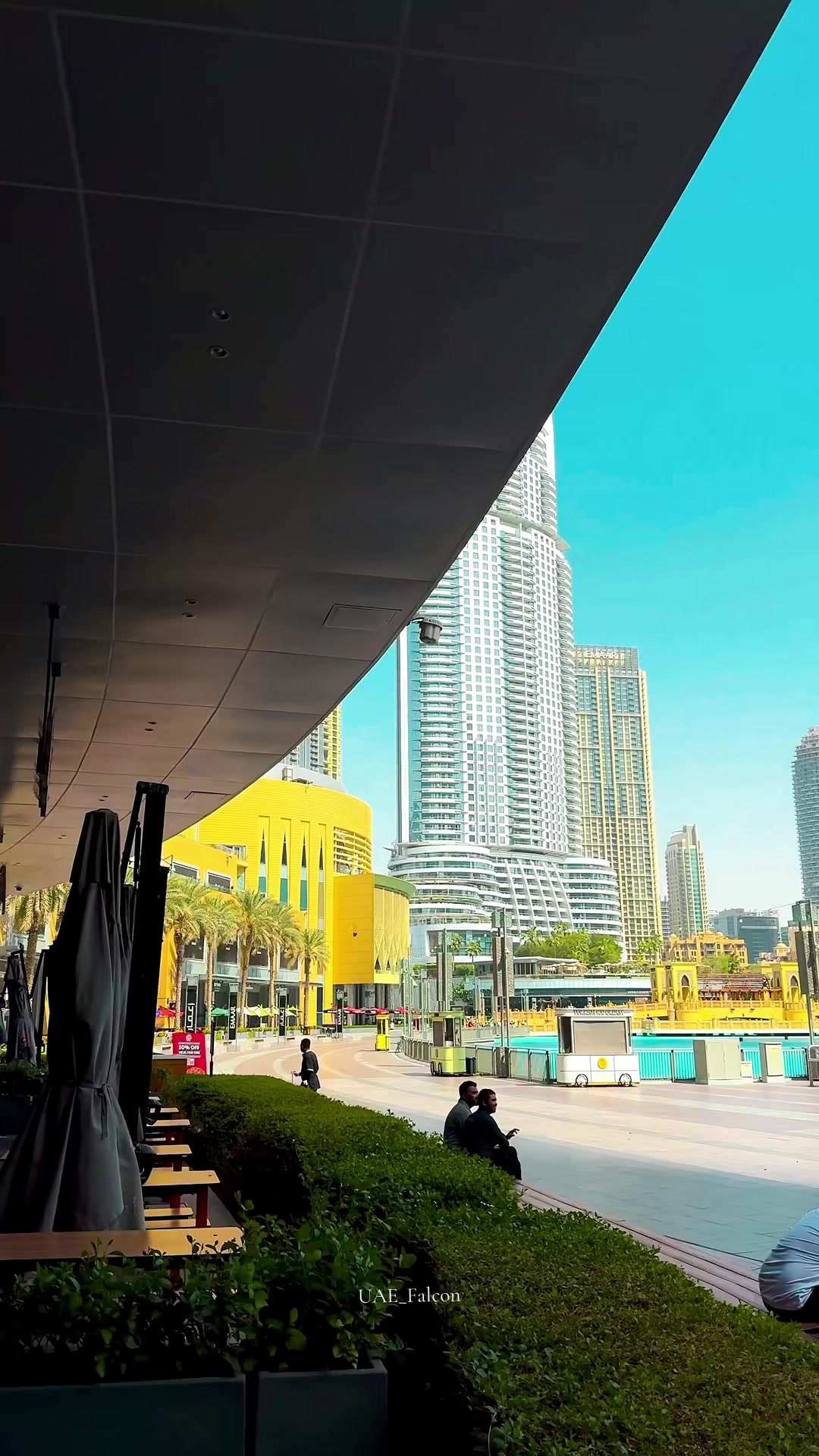@UAE_Falcon