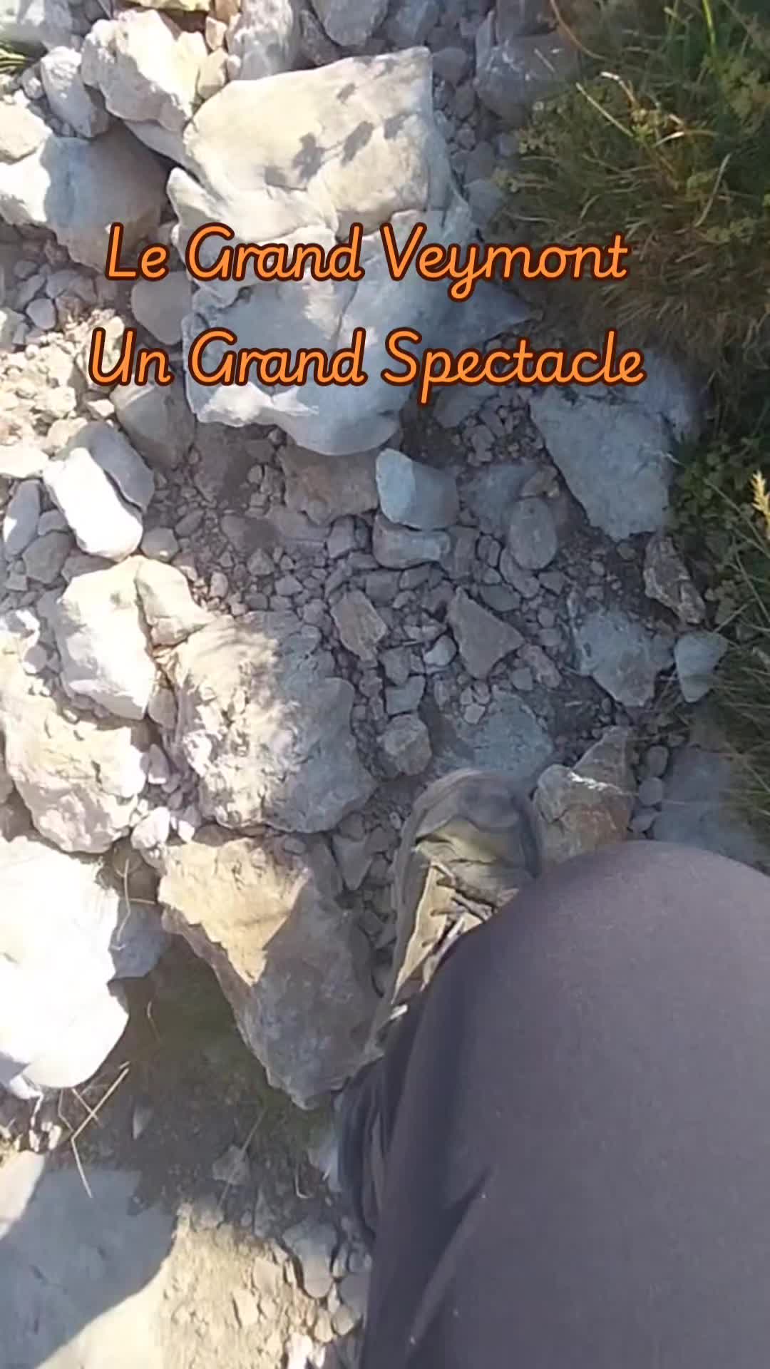 @wolfthebest