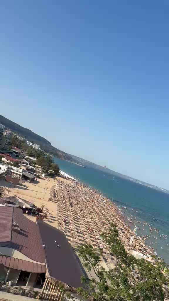 @Camelia Camy661