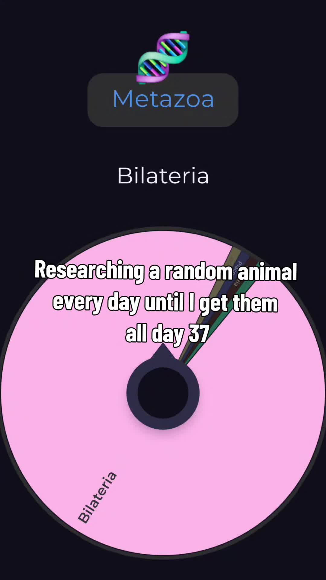 @Red🦕