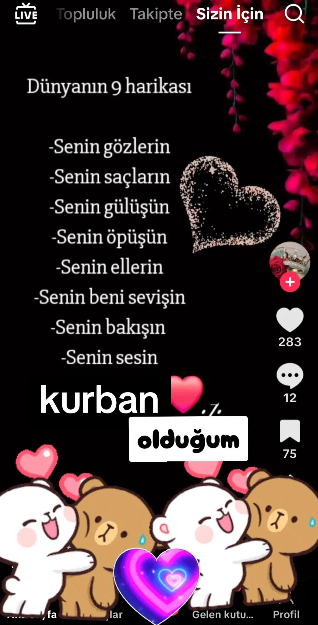 @atakan &ccedil;etin