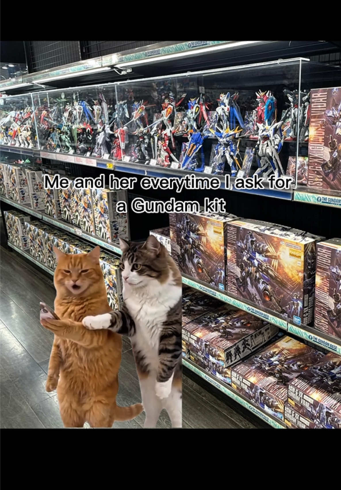 @Basic Gunpla
