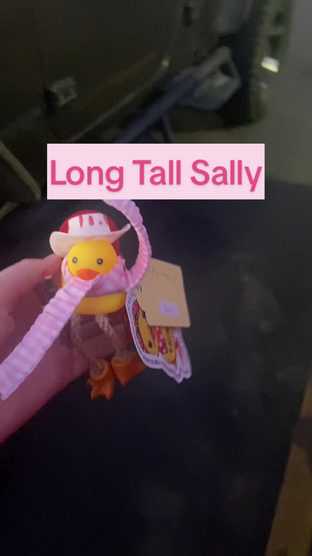 @quack.quack.beep