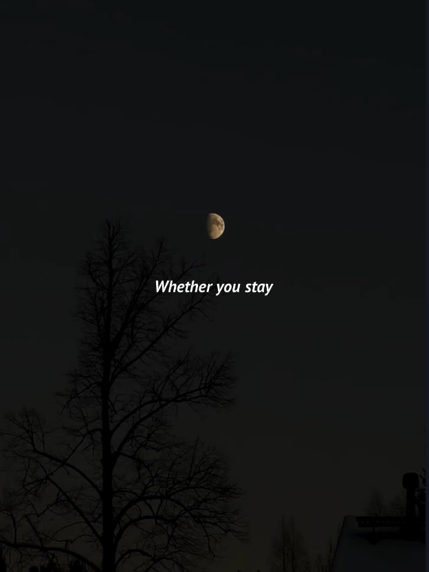 @Owl