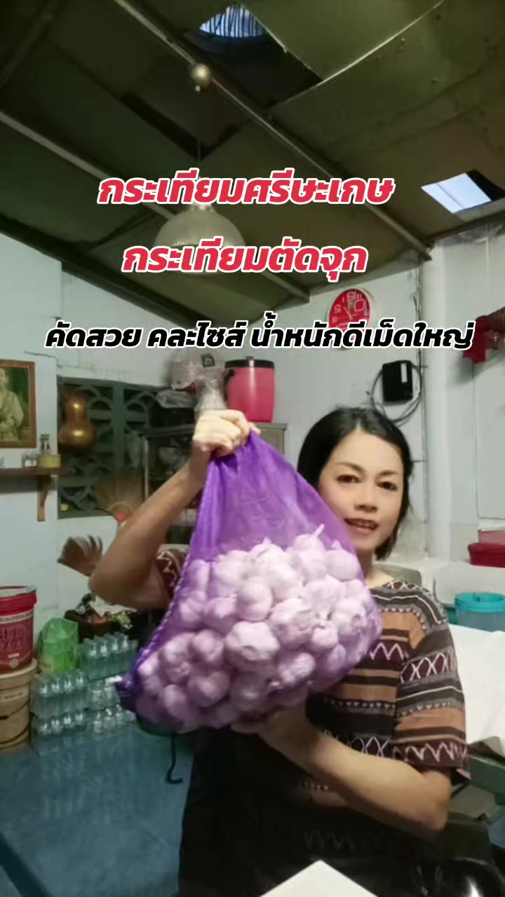 @บ้านกลางสวนลำใย(เชียงใหม่)
