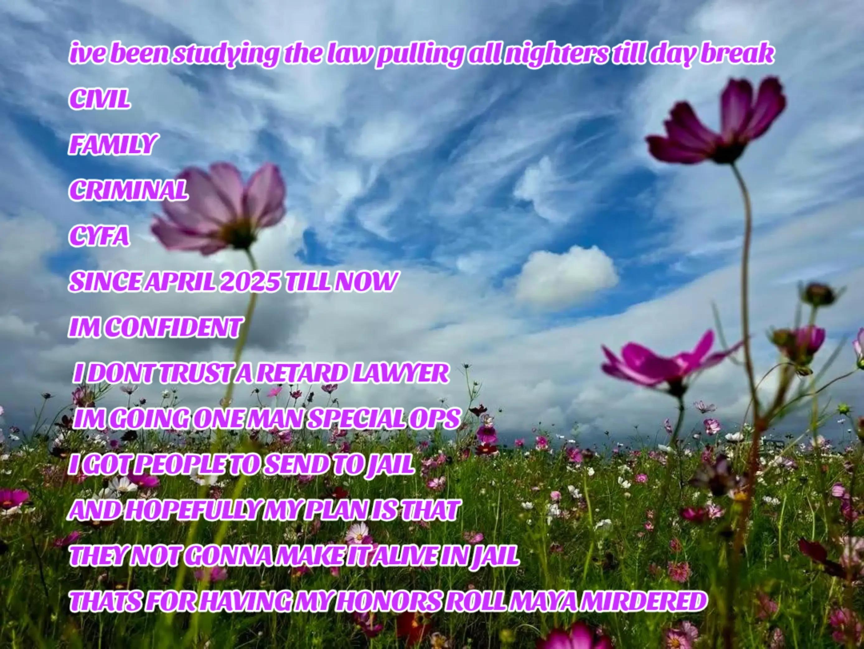 @TigerMist