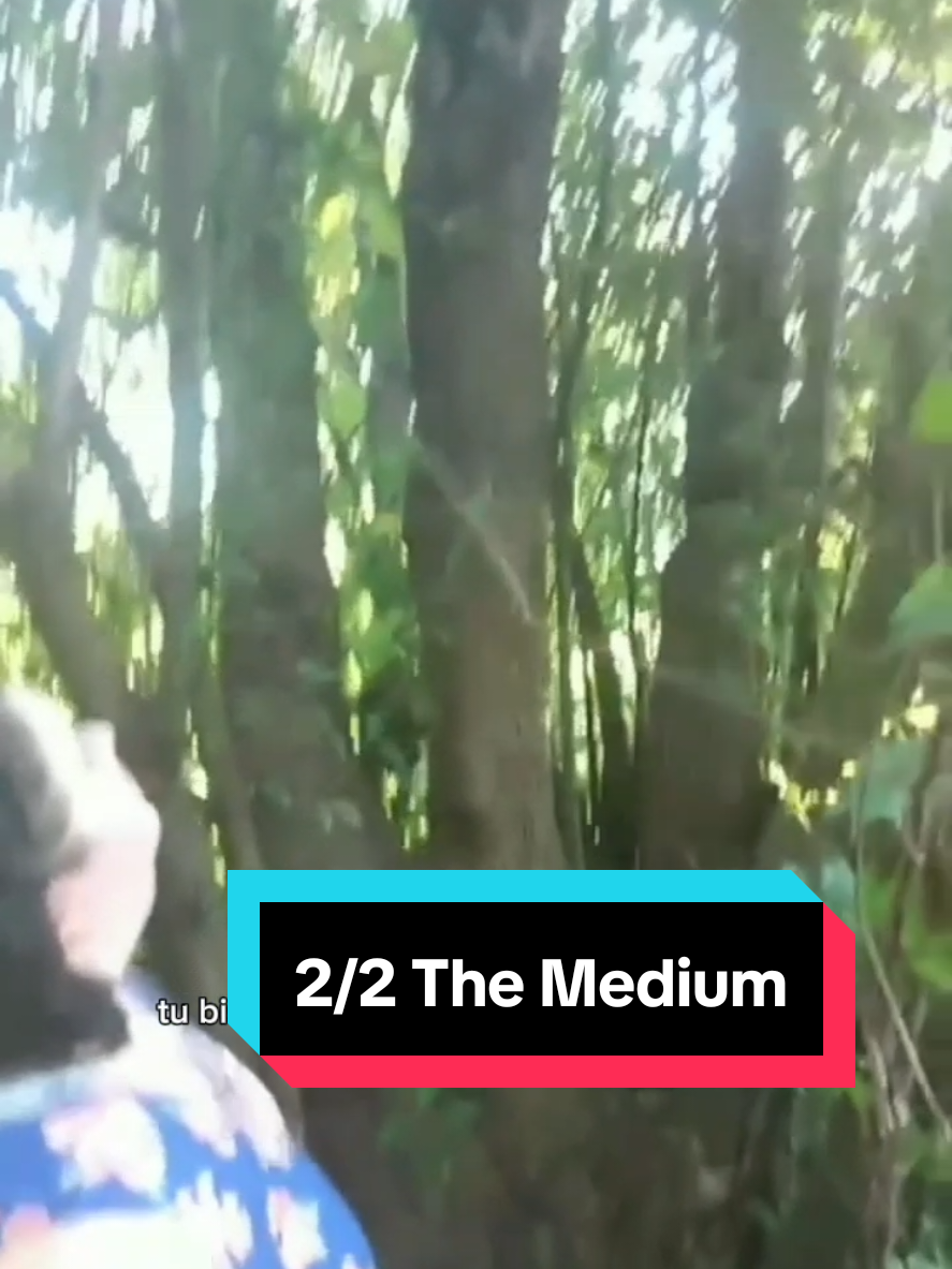 @AlexCalvoIsHaunted