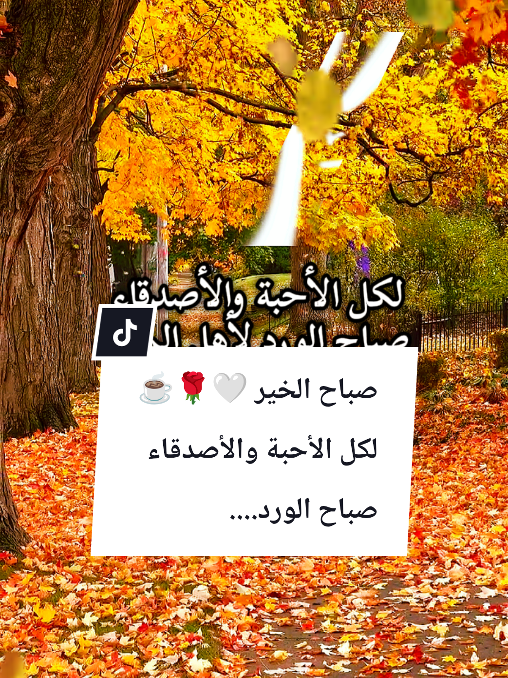 @🌟𝗦𝗼𝘂𝘇𝗮𝗻 𝗖𝗵𝗮𝗺𝘀
