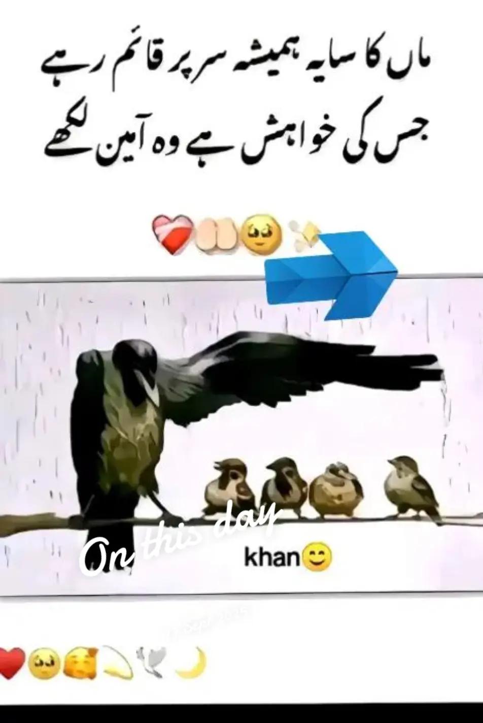 @🦋Fatima❣️Bilal🦋