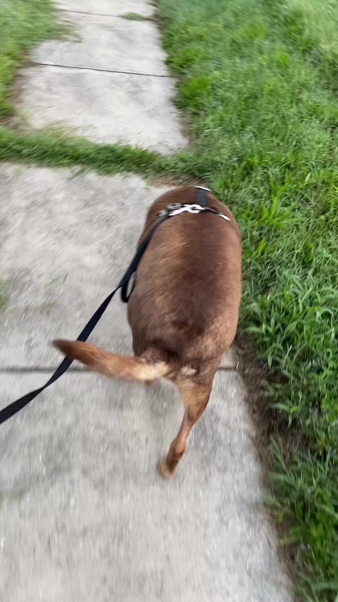 @Kaluh&aacute; Walk&rsquo;s