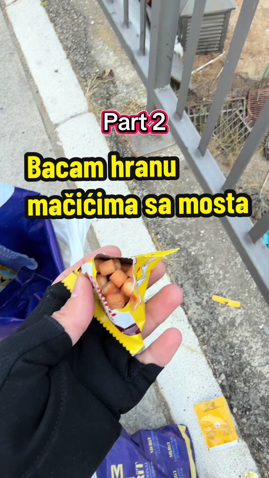 @Maja Kovijanic