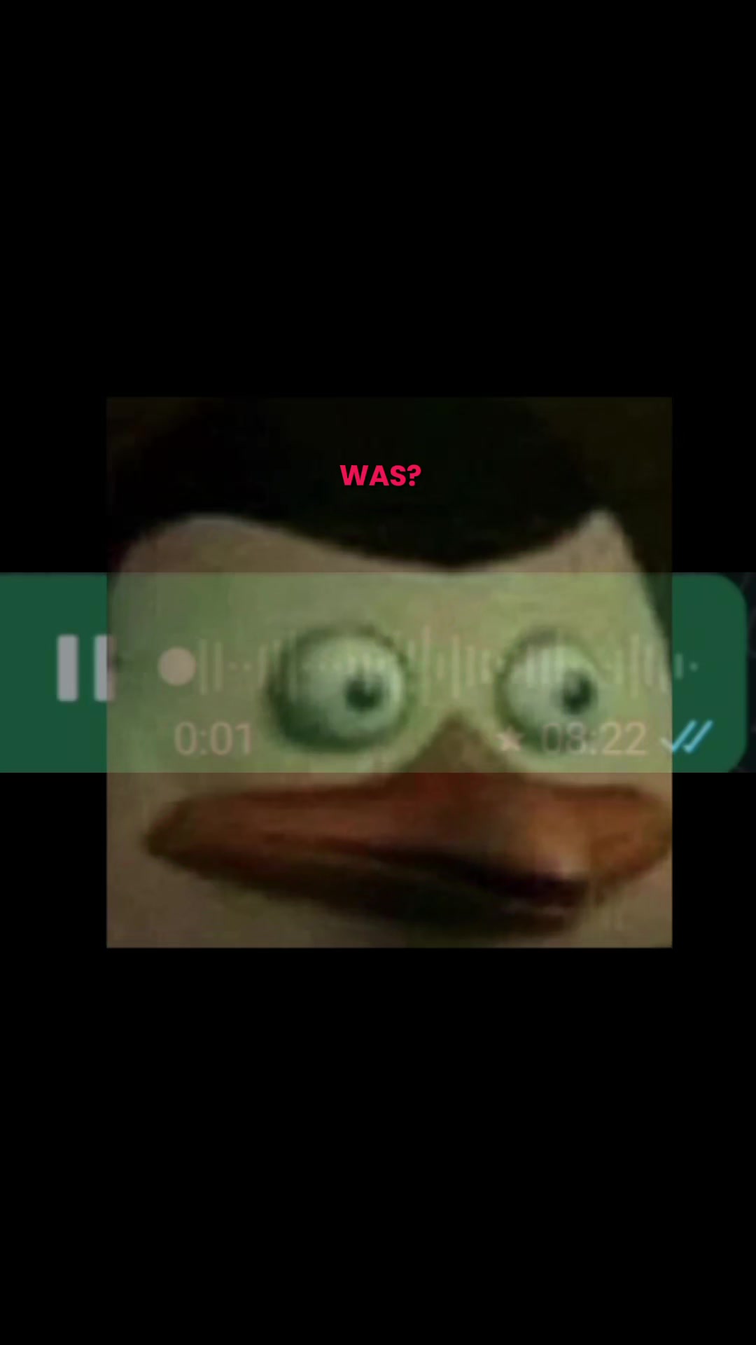 @Entencharles🦆
