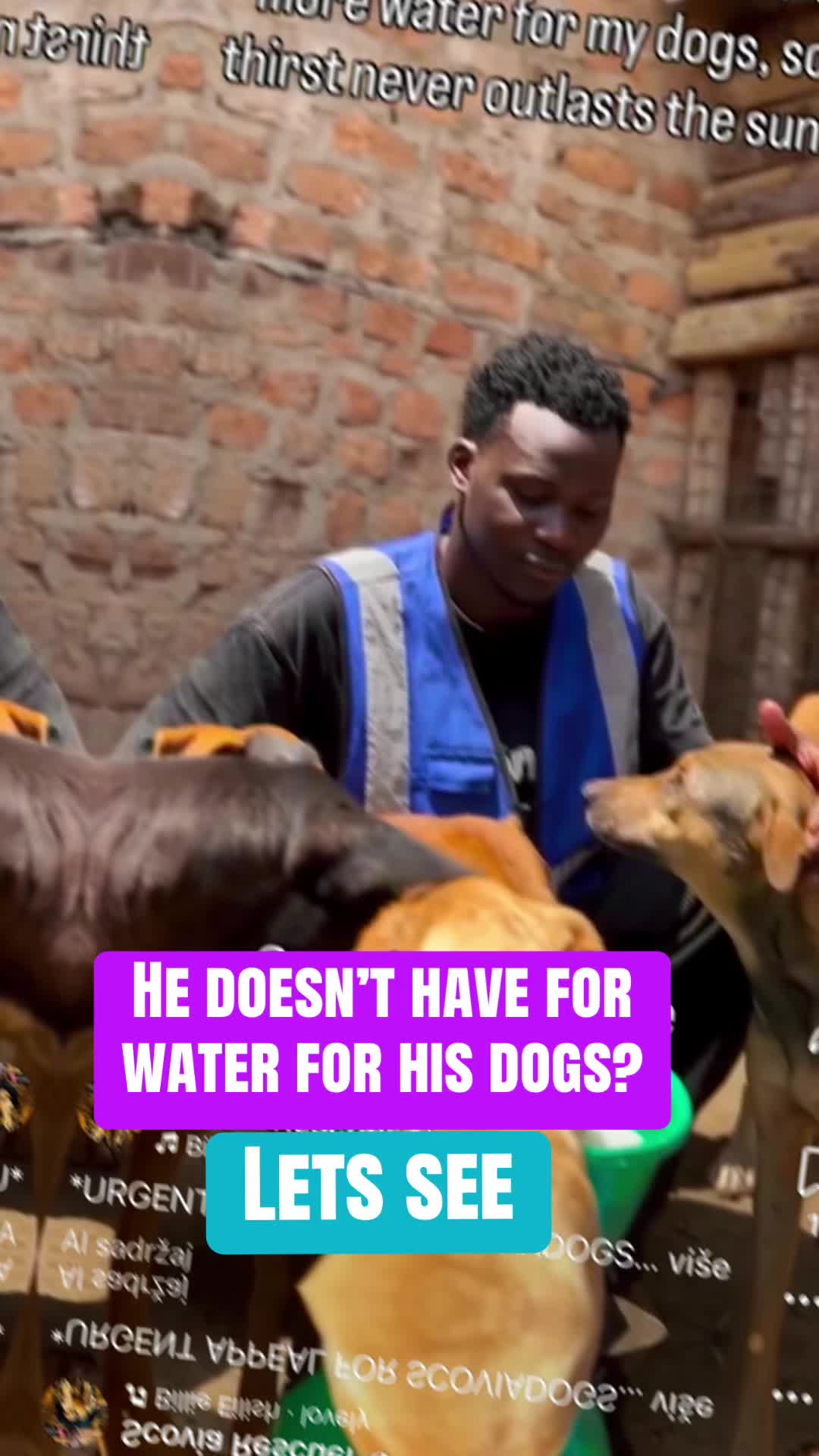 @SICK OF ANIMAL SCAM