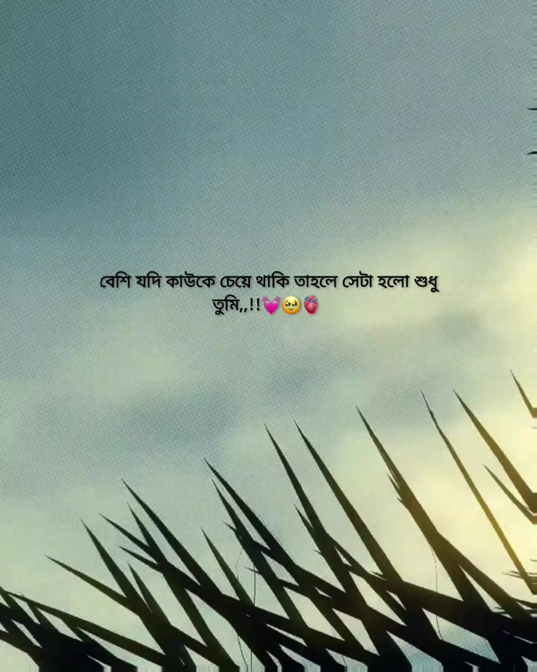 @Rakib Khan