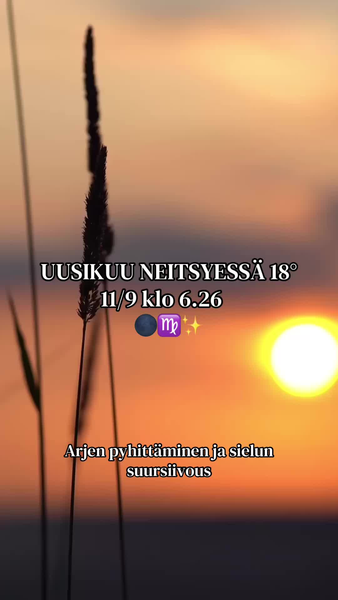@Jozellak