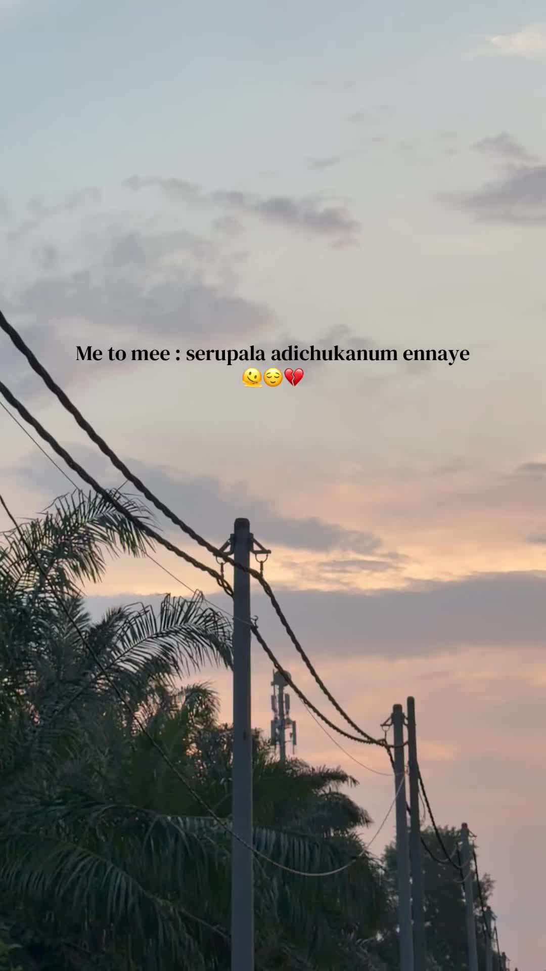 @🦎