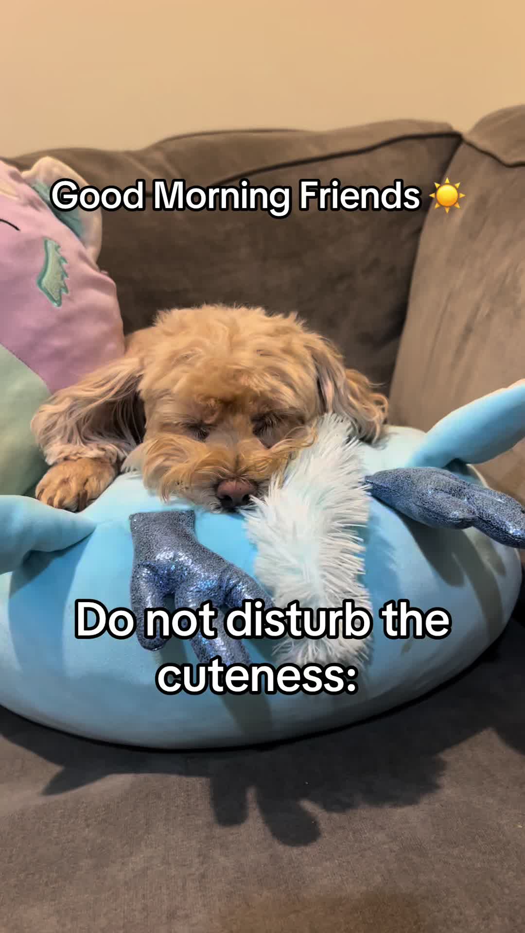 @ChloeCaboodleDoodle