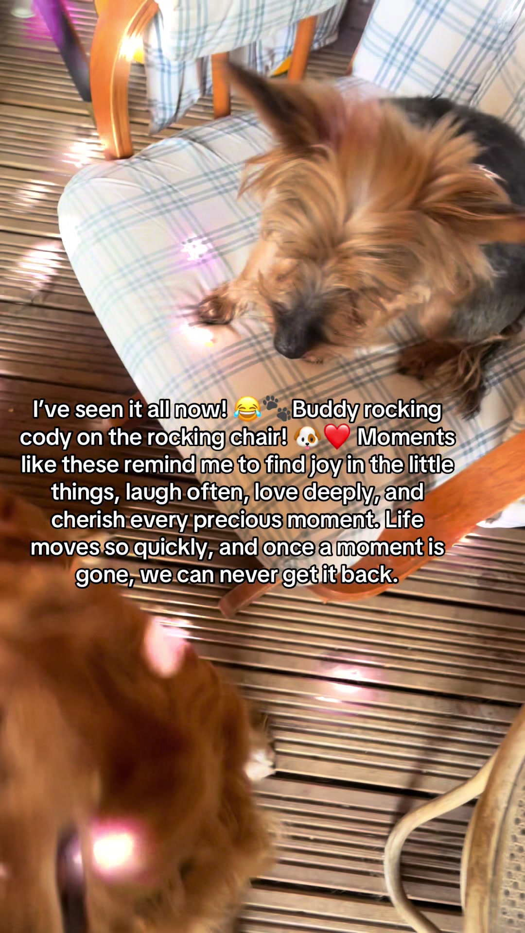 @Happy buddy