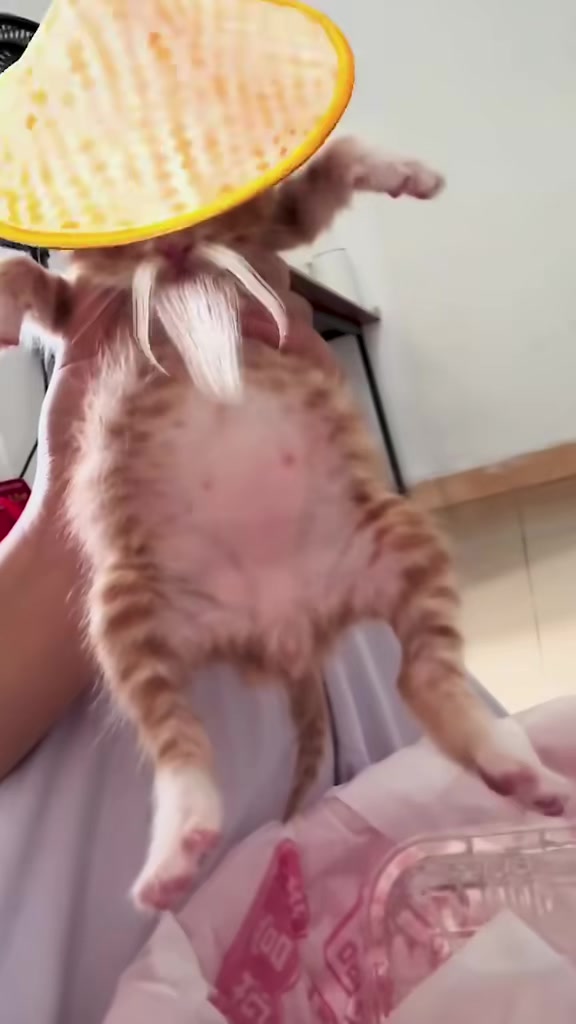 @catbosssss
