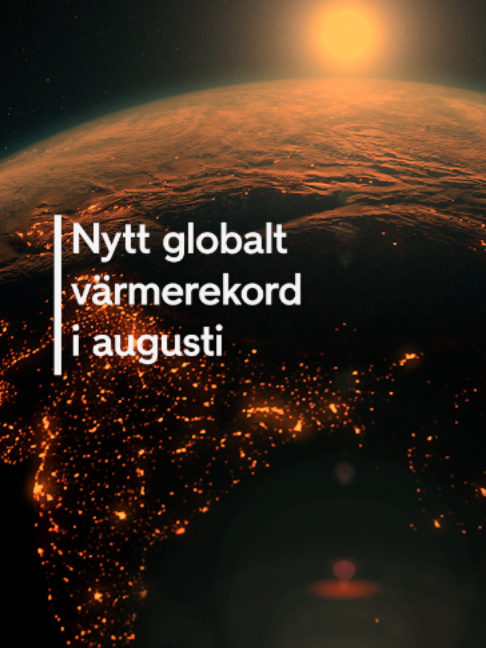 @TV4 Nyheterna