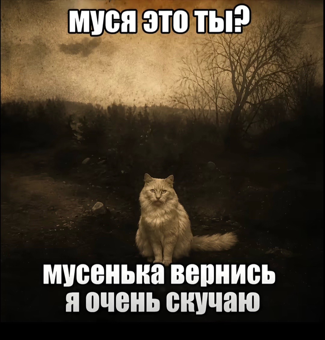 @frains64