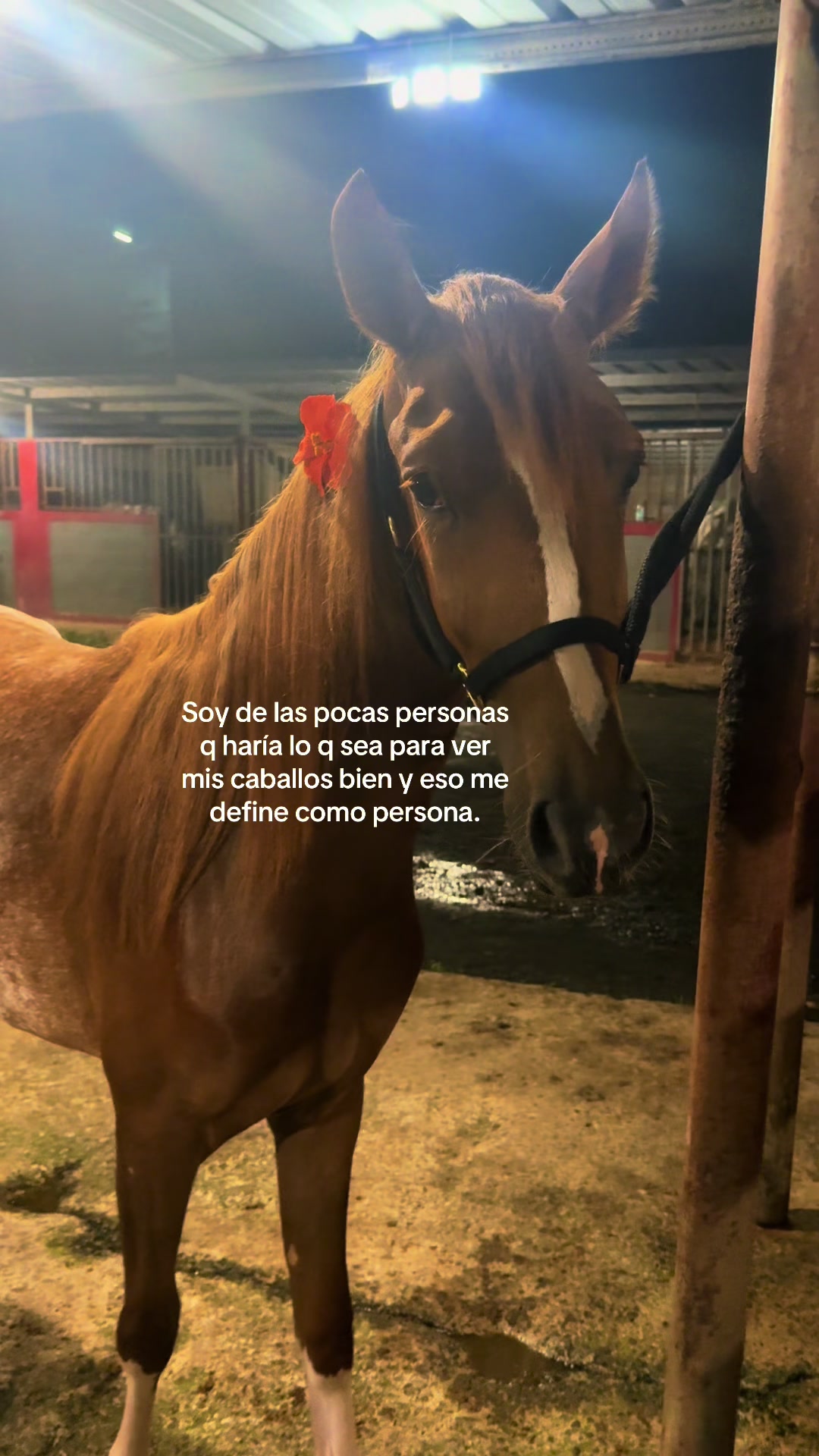 @Yany🇵🇷