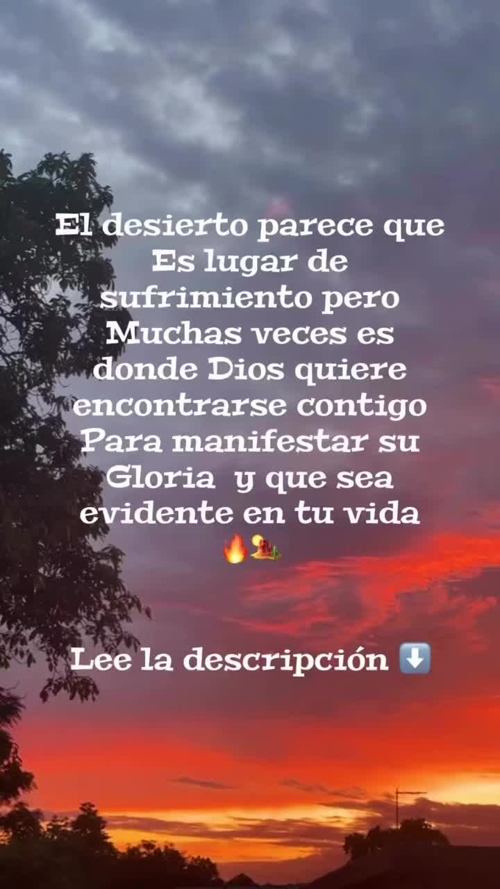 @viviacevedooficial