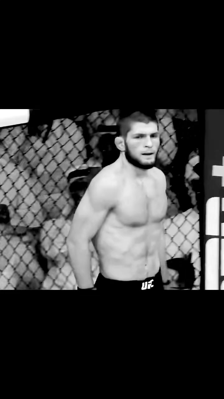 @MMA🐺