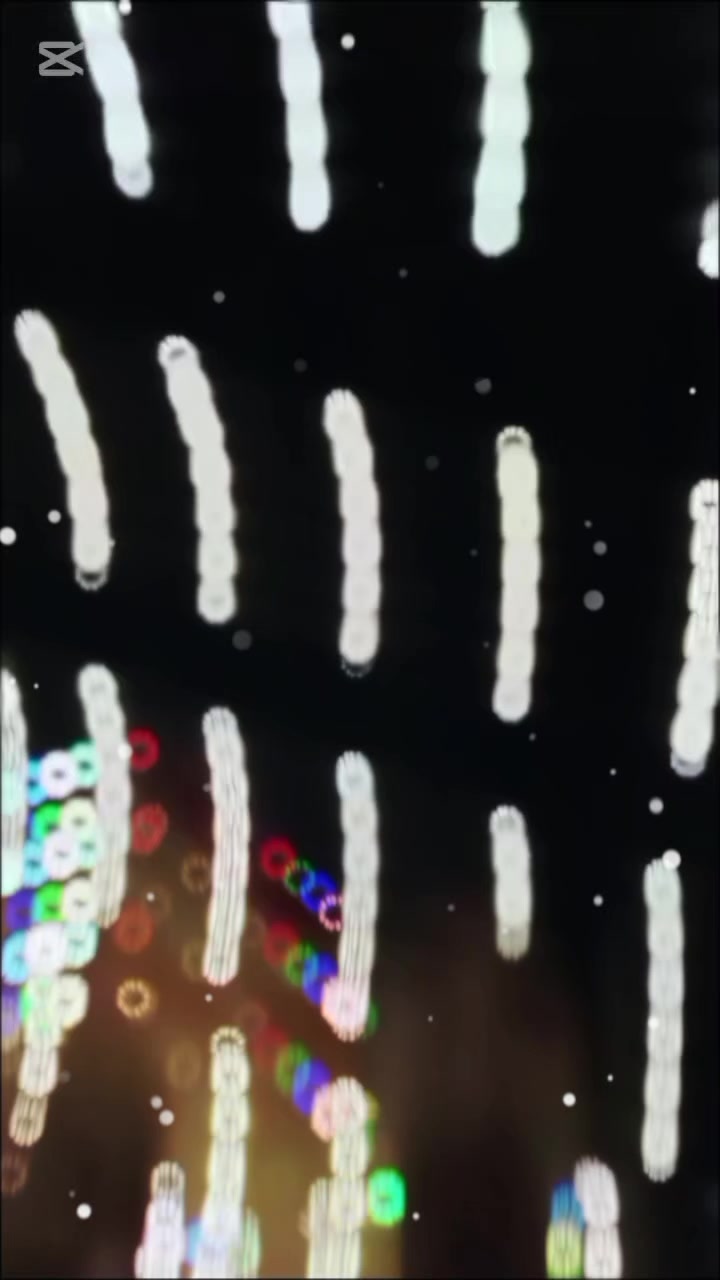 @ℝ︎𝕒𝕛︎𝕦𝕞︎𝕒𝕟︎𝕕𝕒︎𝕝