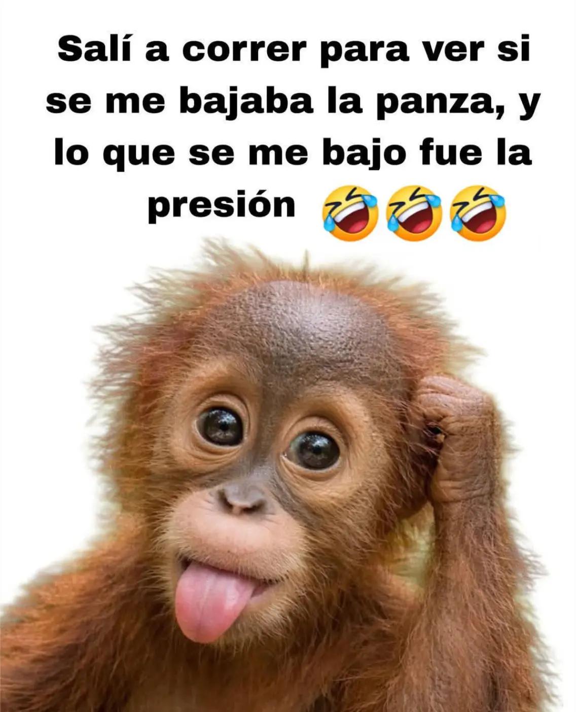@Henry Hernandez