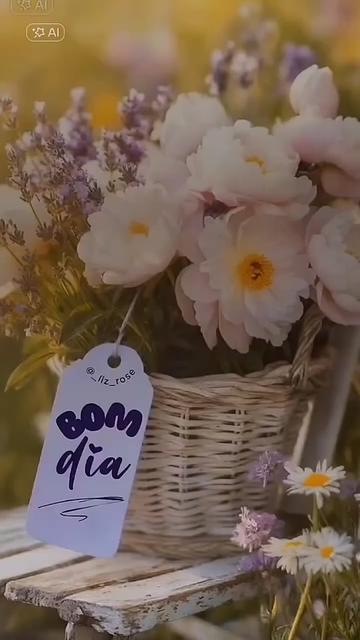 @🌻Faby.Branquinha🌻
