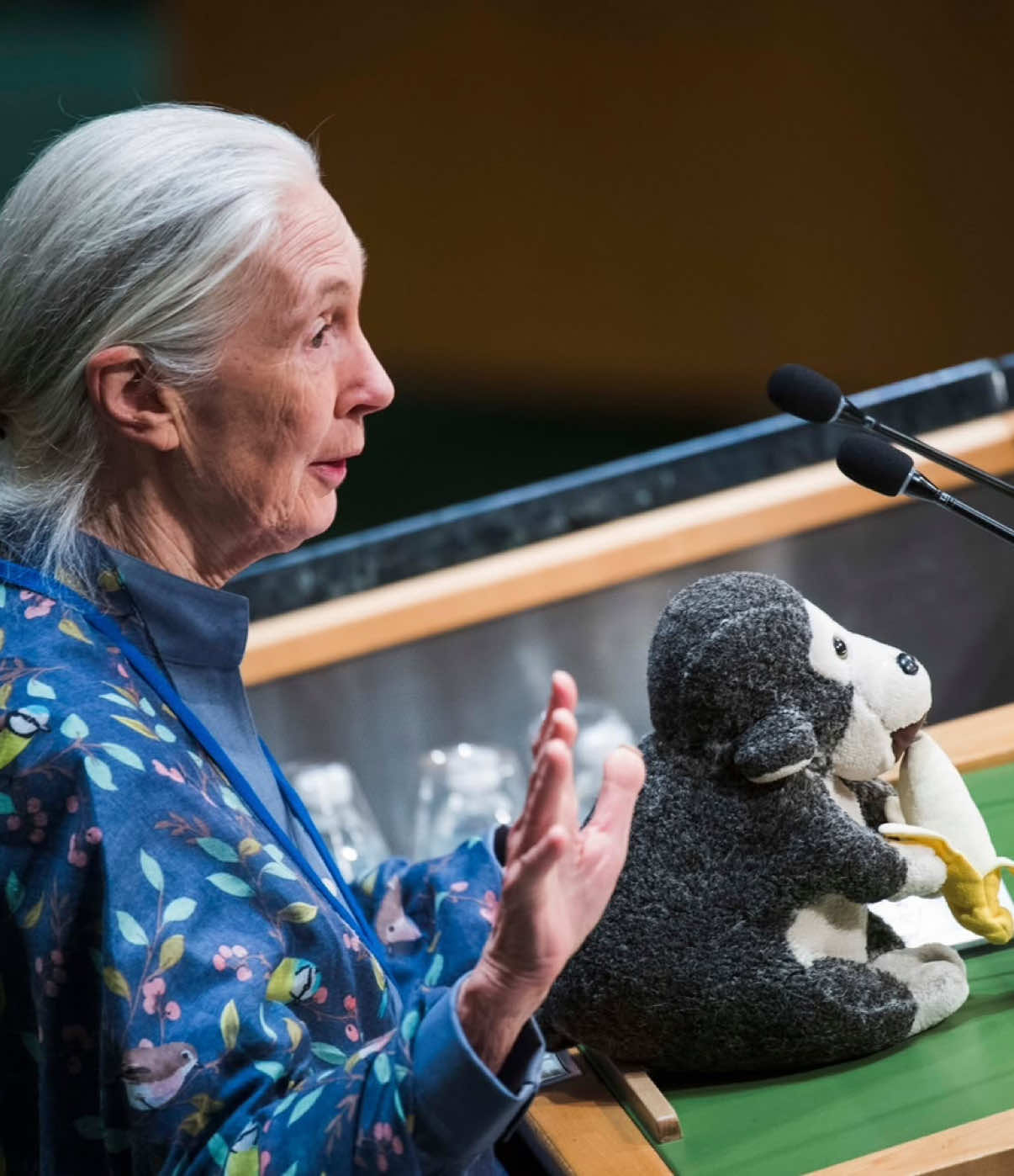 @Jane Goodall Institute 🇨🇦