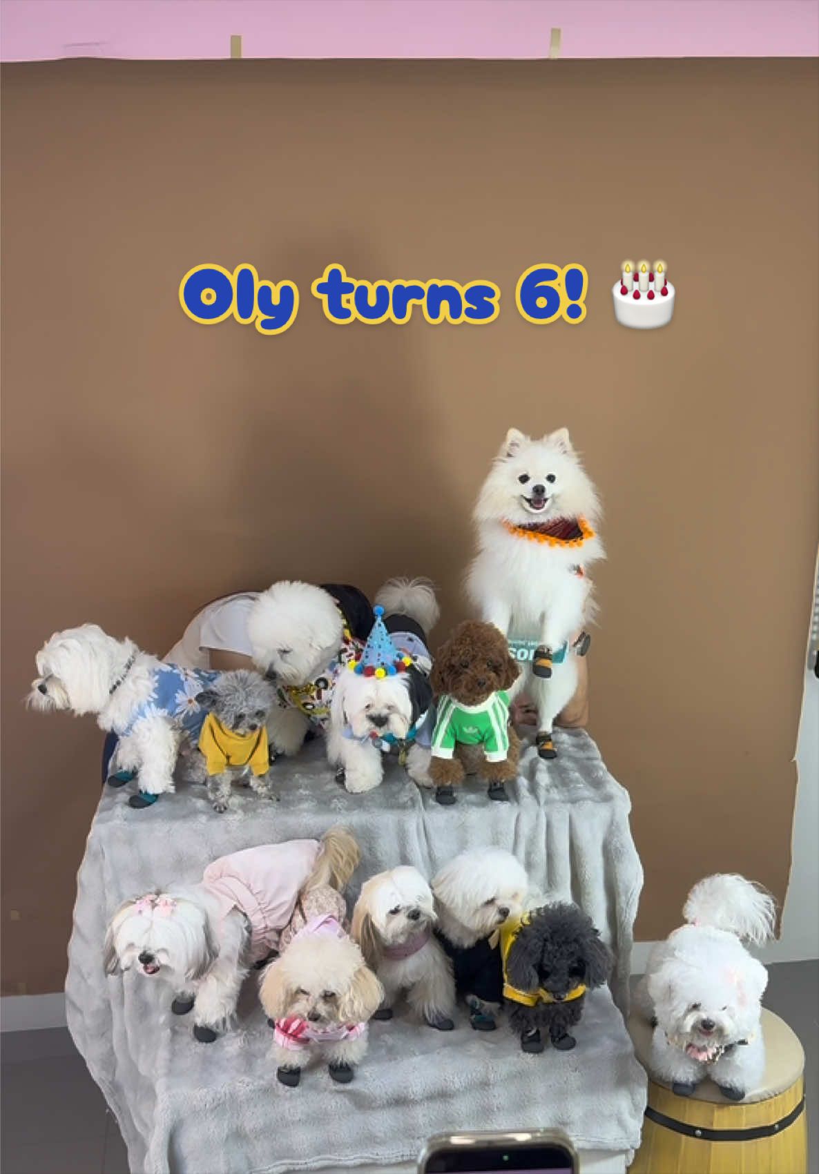 @G H O S T TheRunnerPom