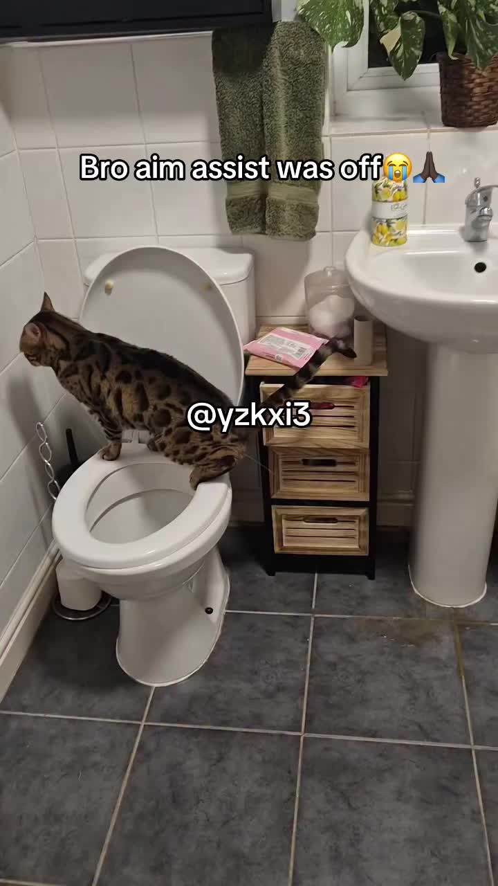 @yzkxi3
