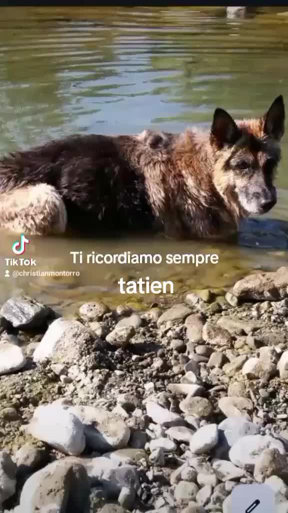 @christianmontorro