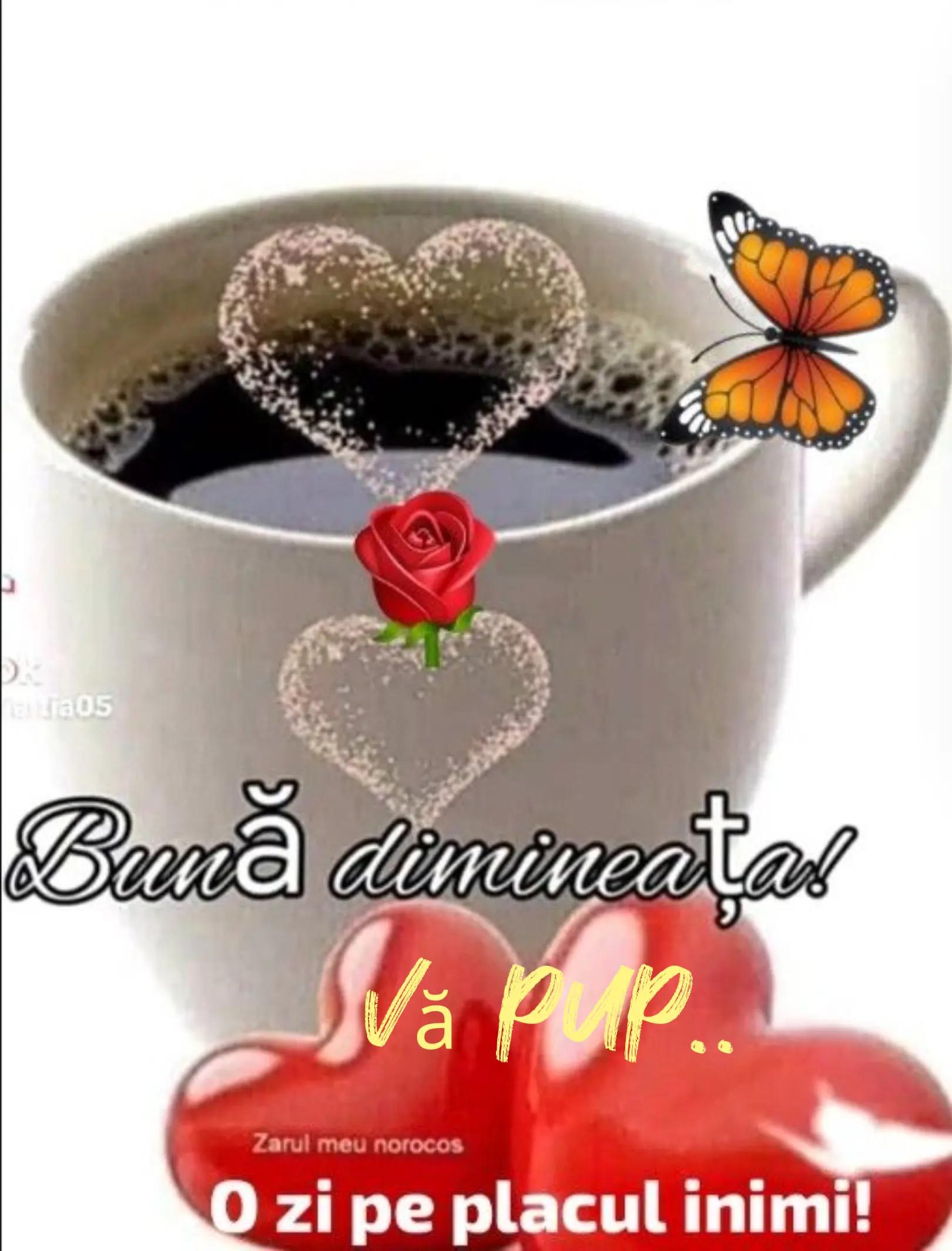 @𝒱𝒶𝓁𝒾 𝓓𝓸𝓫𝓻𝓪𝓽𝓪̆ 💞🌷