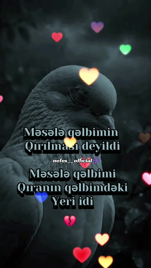 @๐ต๐๐๐๐_๐๐๐๐๐๐๐๐_๐ถ