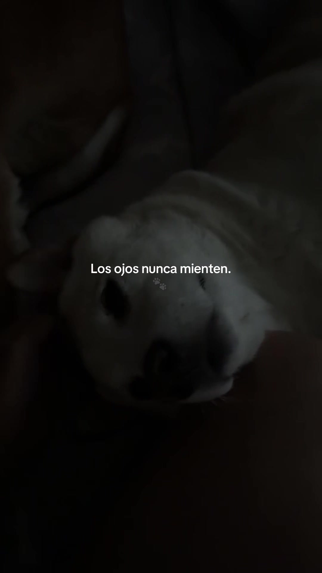 @Cari Mondrag&oacute;n