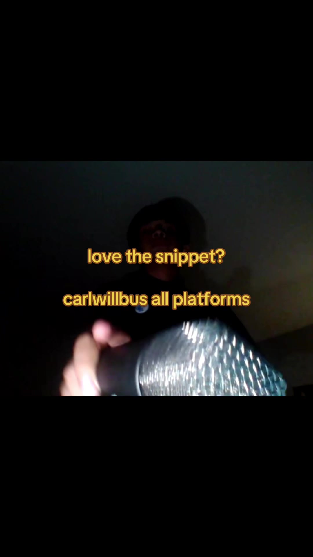 @carlwillbus