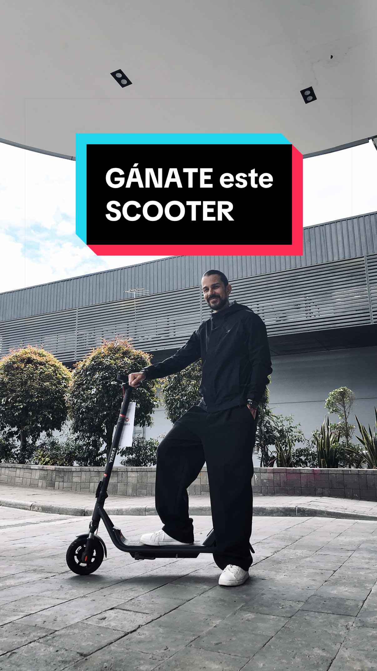 @José David Araujo
