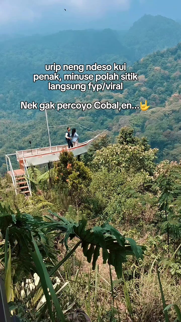 @V@nDY J3