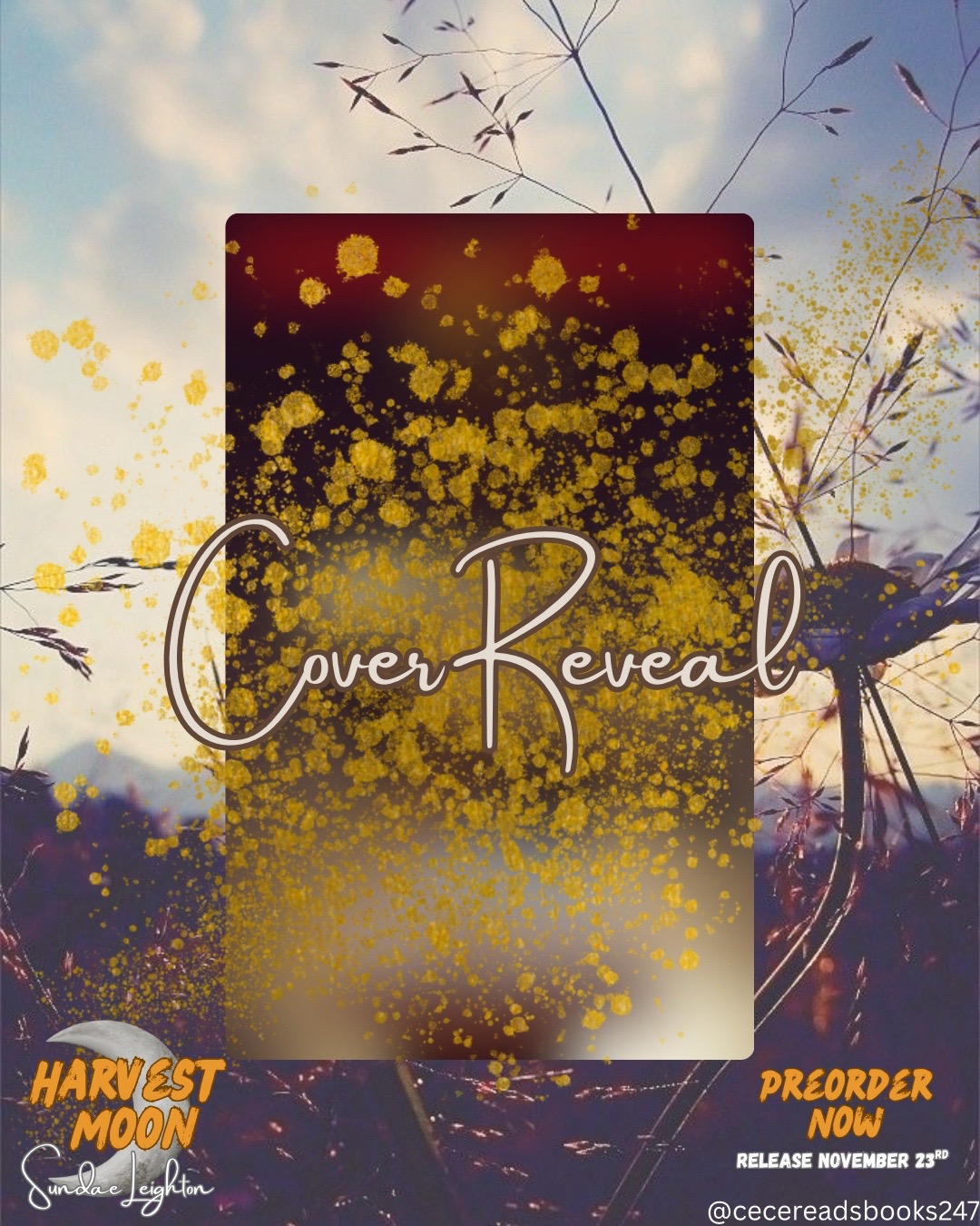 @CeCeReadsBooks247📚💜🌈