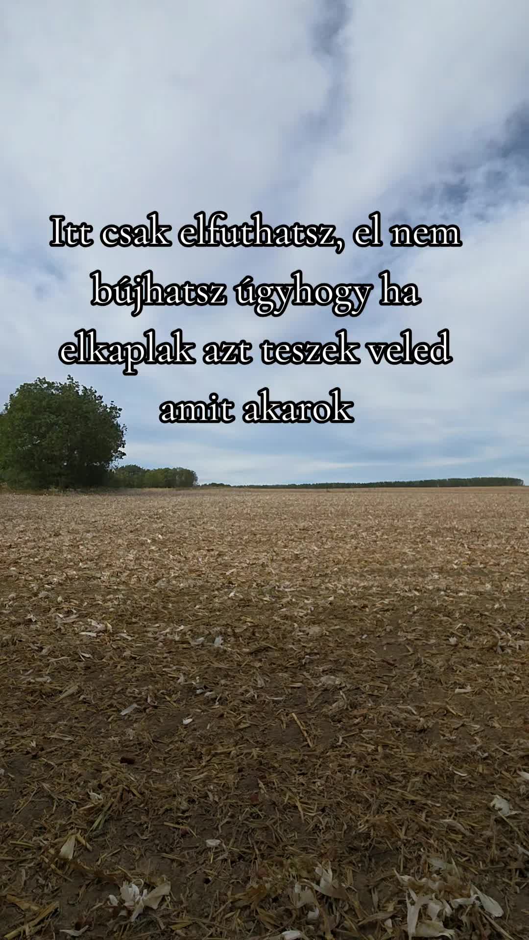 @Egyip_Tomii®