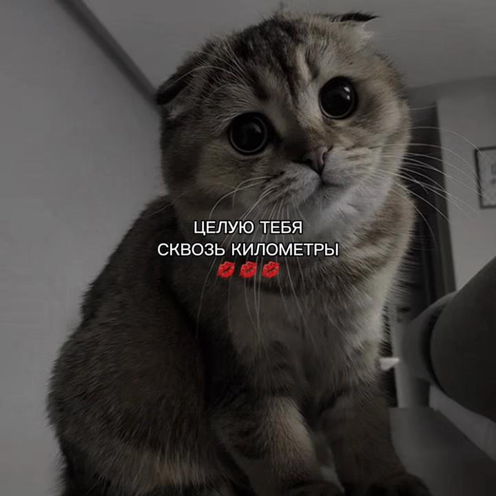 @ХХИКА