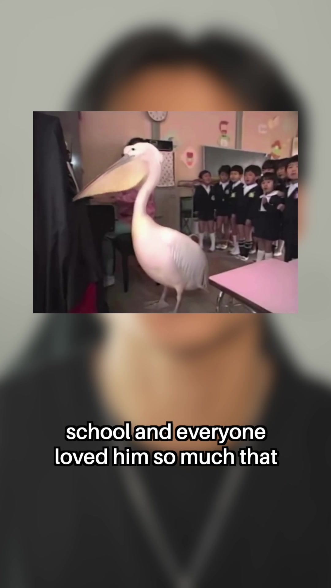 @Andy Jiang