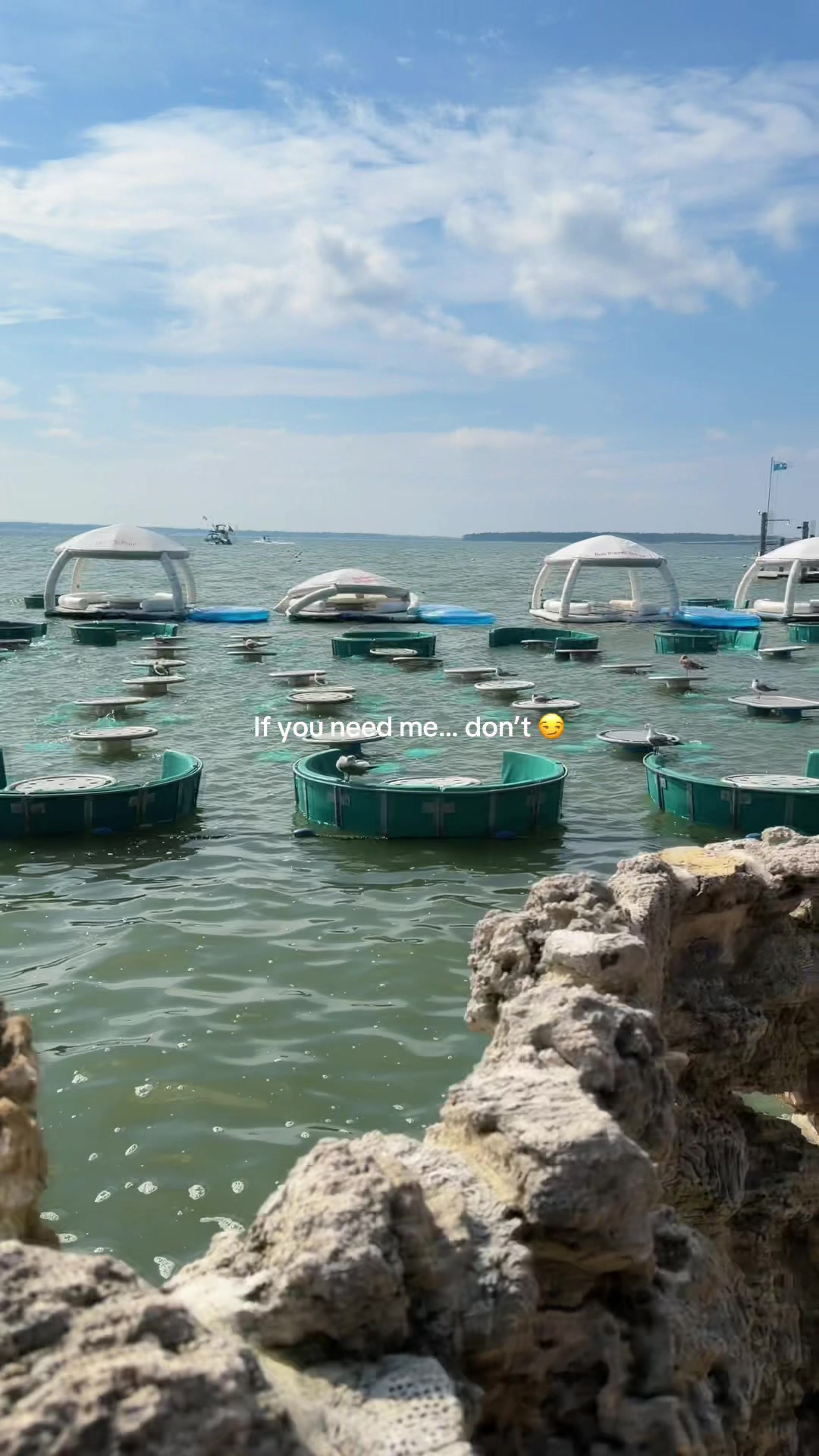 @𝑔𝒾𝑔𝒾@𝓉𝒽ℯ𝒷ℯ𝒶𝒸𝒽🐚