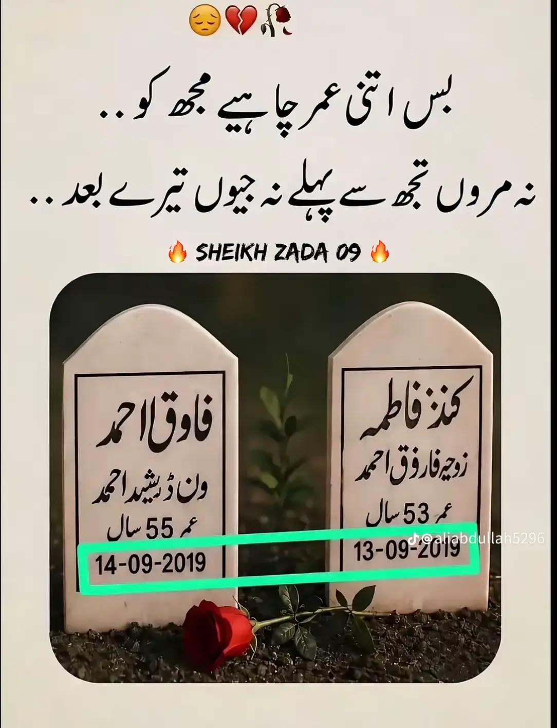 @WARIS Ali brand