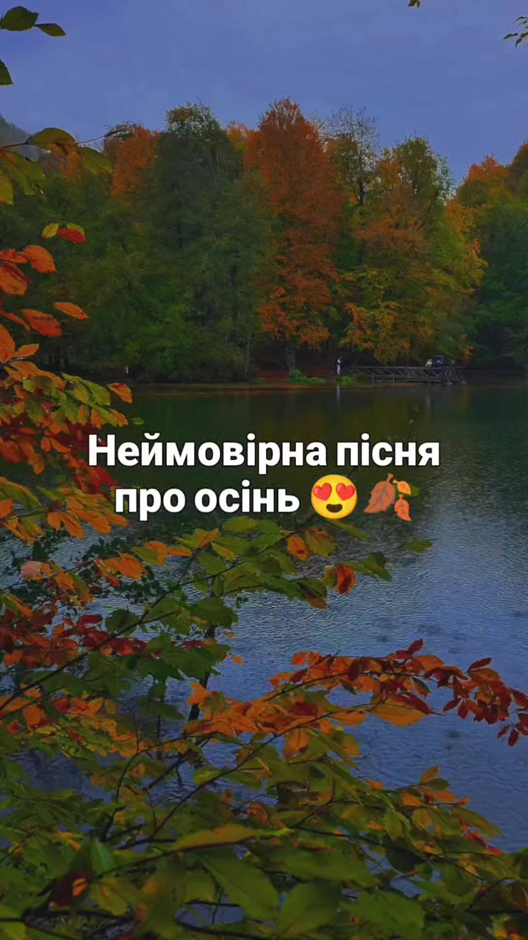 @Українська Музика 2026